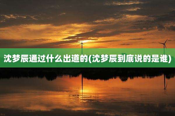 沈梦辰通过什么出道的(沈梦辰到底说的是谁)