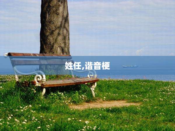姓任,谐音梗