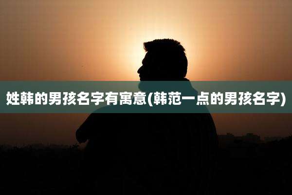 姓韩的男孩名字有寓意(韩范一点的男孩名字)