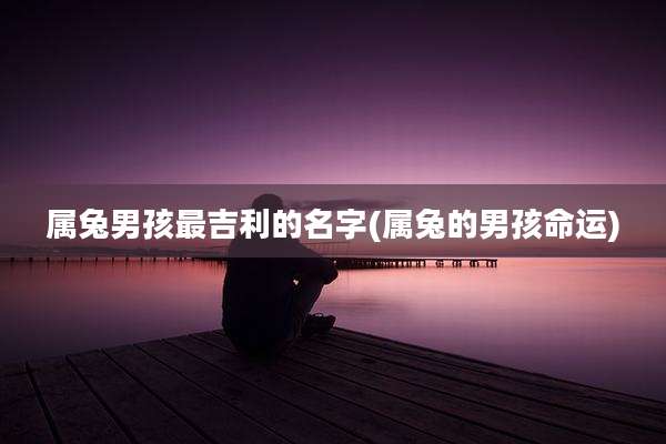 属兔男孩最吉利的名字(属兔的男孩命运)