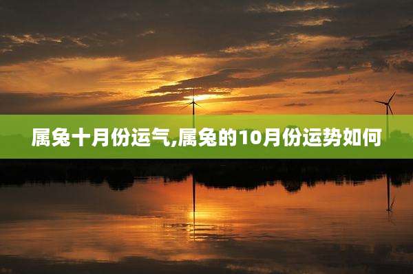 属兔十月份运气,属兔的10月份运势如何