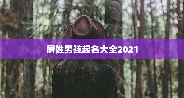 屠姓男孩起名大全2021
