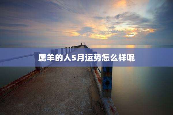 属羊的人5月运势怎么样呢