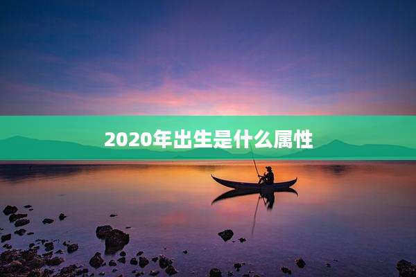2020年出生是什么属性