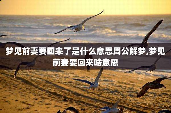 梦见前妻要回来了是什么意思周公解梦,梦见前妻要回来啥意思