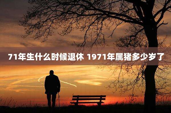 71年生什么时候退休 1971年属猪多少岁了