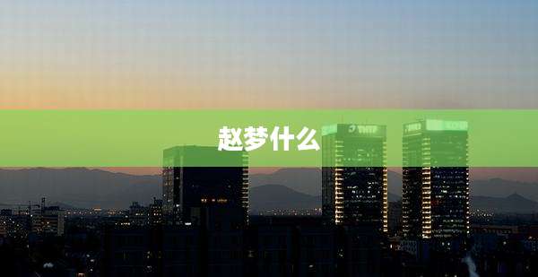 赵梦什么