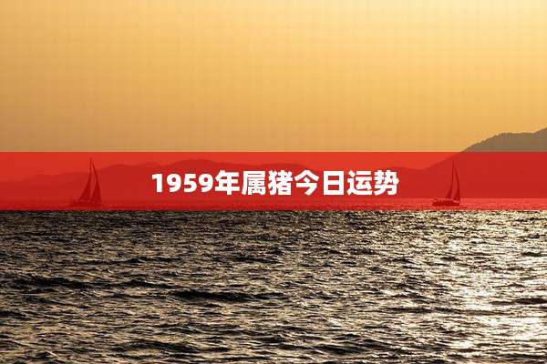 1959年属猪今日运势