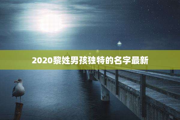 2020黎姓男孩独特的名字最新