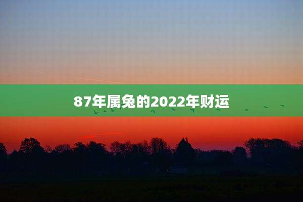 87年属兔的2022年财运