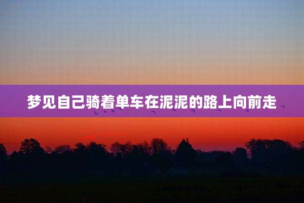 梦见自己骑着单车在泥泥的路上向前走