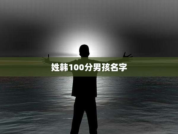 姓韩100分男孩名字