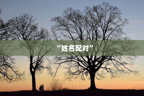 “姓名配对”