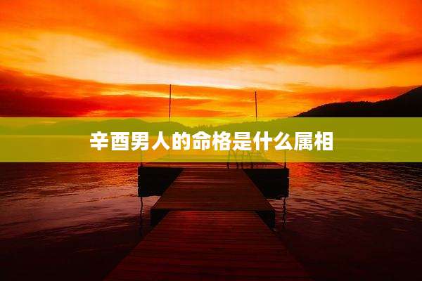 辛酉男人的命格是什么属相