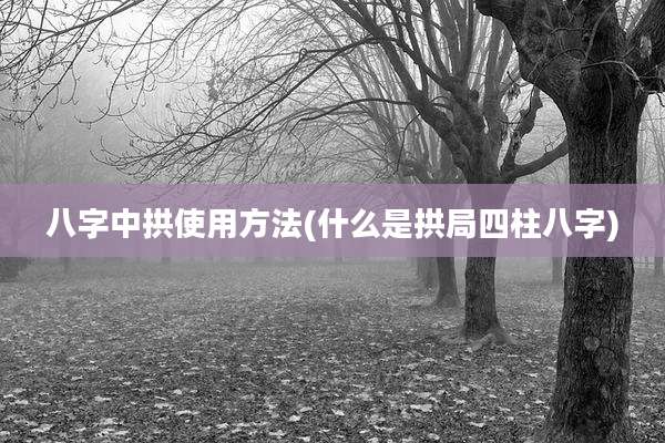 八字中拱使用方法(什么是拱局四柱八字)