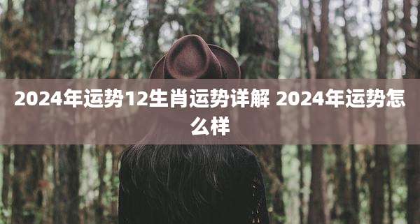 2024年运势12生肖运势详解 2024年运势怎么样