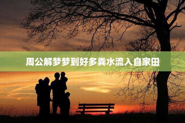 周公解梦梦到好多粪水流入自家田