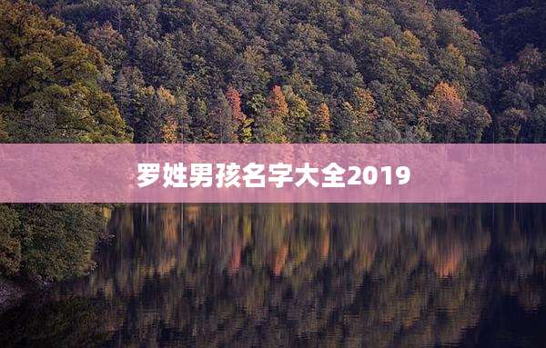 罗姓男孩名字大全2019
