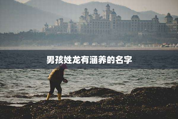 男孩姓龙有涵养的名字