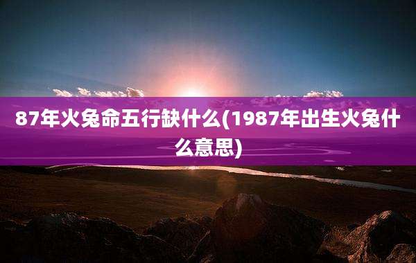 87年火兔命五行缺什么(1987年出生火兔什么意思)