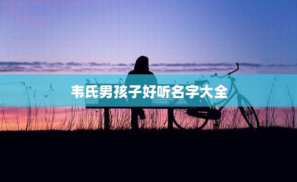 韦氏男孩子好听名字大全