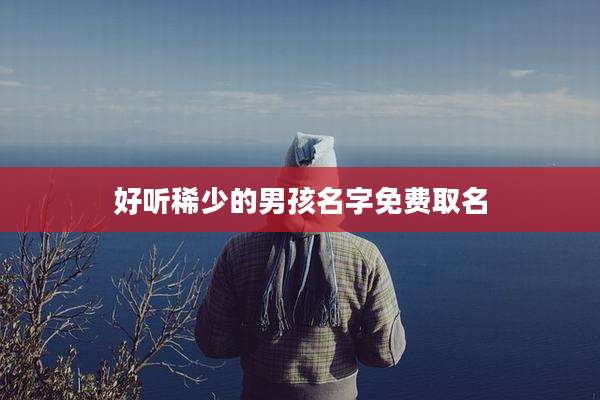 好听稀少的男孩名字免费取名