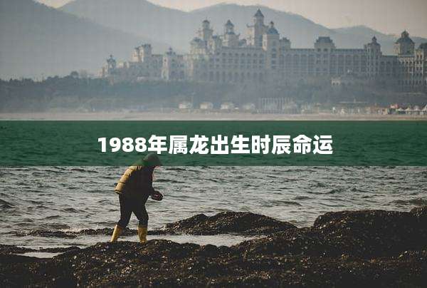 1988年属龙出生时辰命运
