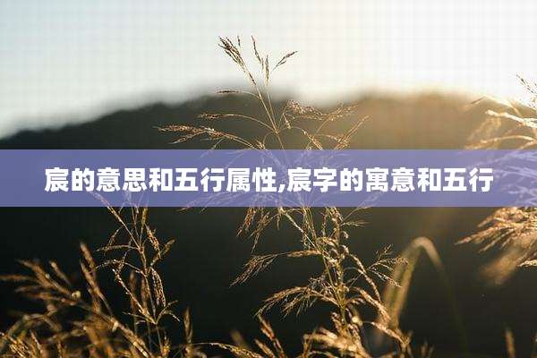 宸的意思和五行属性,宸字的寓意和五行