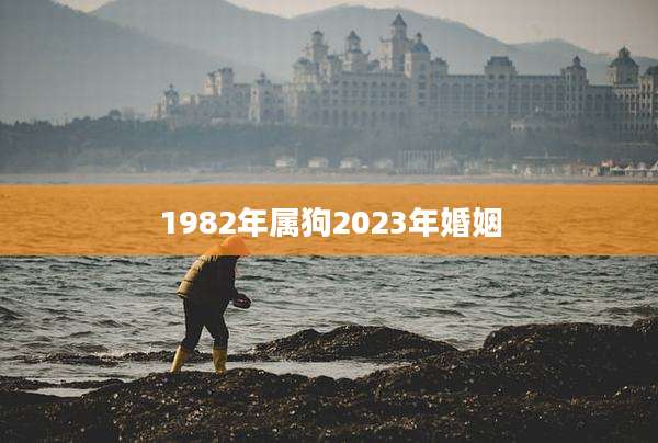 1982年属狗2023年婚姻