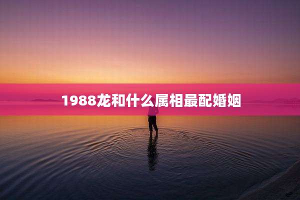 1988龙和什么属相最配婚姻