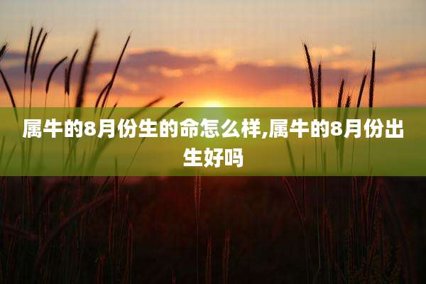 属牛的8月份生的命怎么样,属牛的8月份出生好吗