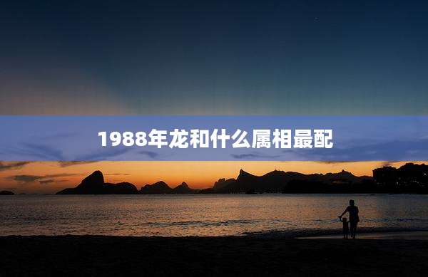 1988年龙和什么属相最配