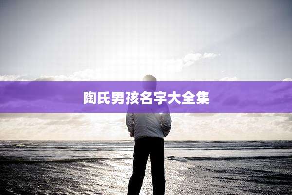 陶氏男孩名字大全集