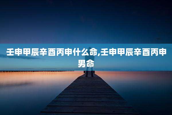 壬申甲辰辛酉丙申什么命,壬申甲辰辛酉丙申男命