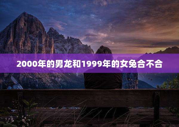 2000年的男龙和1999年的女兔合不合