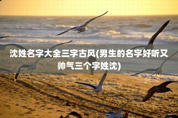 沈姓名字大全三字古风(男生的名字好听又帅气三个字姓沈)