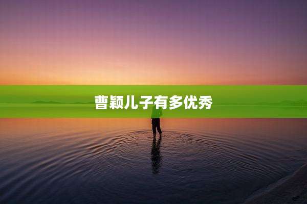 曹颖儿子有多优秀