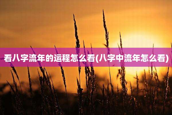 看八字流年的运程怎么看(八字中流年怎么看)