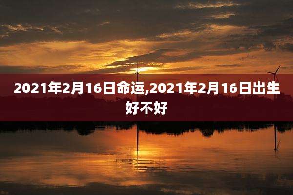 2021年2月16日命运,2021年2月16日出生好不好