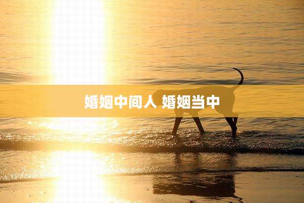 婚姻中间人 婚姻当中