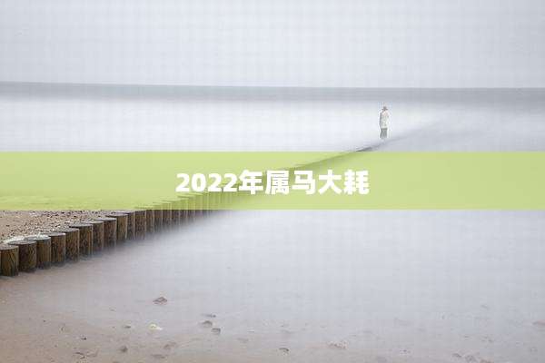 2022年属马大耗