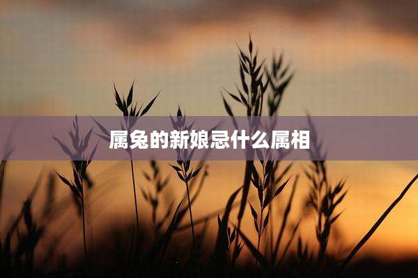 属兔的新娘忌什么属相