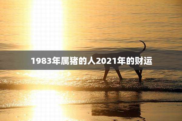 1983年属猪的人2021年的财运