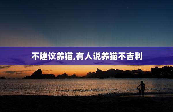 不建议养猫,有人说养猫不吉利