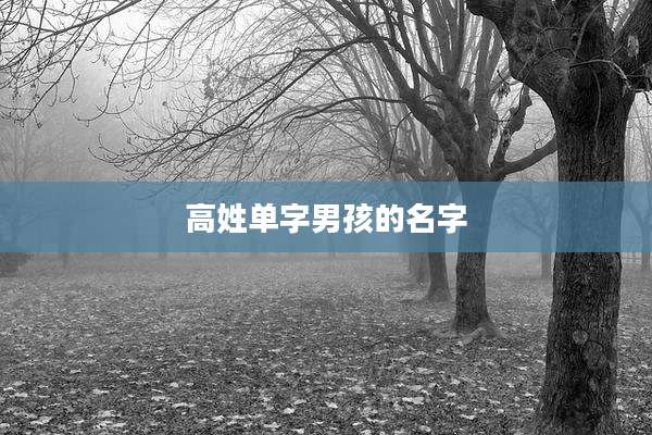 高姓单字男孩的名字