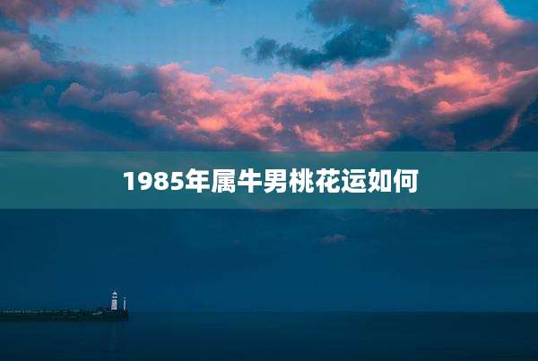 1985年属牛男桃花运如何