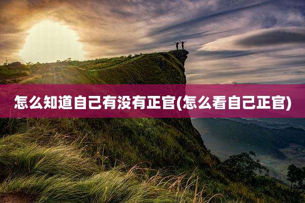 怎么知道自己有没有正官(怎么看自己正官)