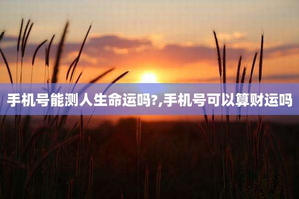 手机号能测人生命运吗?,手机号可以算财运吗