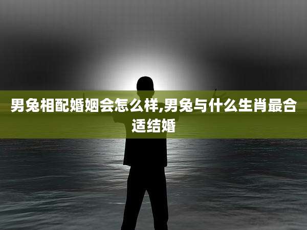 男兔相配婚姻会怎么样,男兔与什么生肖最合适结婚