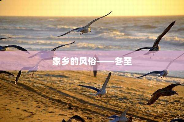 家乡的风俗——冬至